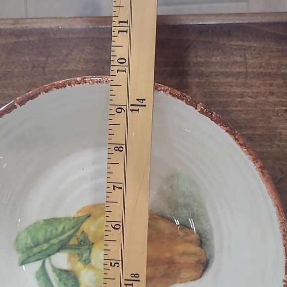 EUC Williams Sonoma Jardin Potager Tomatoes 9" Pasta Bowl - Picture 4 of 5